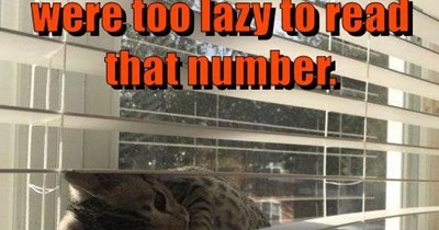Lazy People Fact