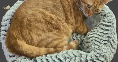 Don't even think that!