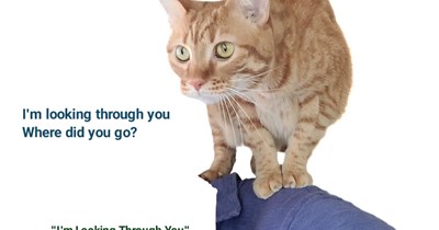 "I'm Looking Through You" by The Beatles