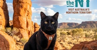 Let Lou Be Your Guide