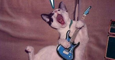 With apologies to Woody Guthrie