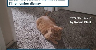 TTO "Far Post" by Robert Plant