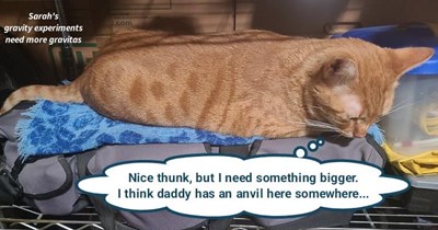 Sarah's gravity experiments need more gravitas