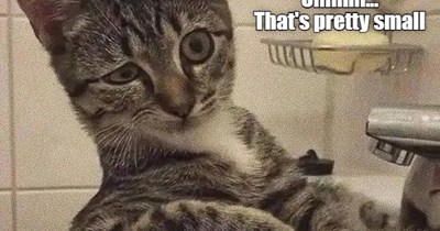 If You Don't Want My Opinion, Don't Ask