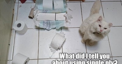 The Consequences Will Be Most Severe