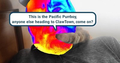 Got a CB meowcrophone