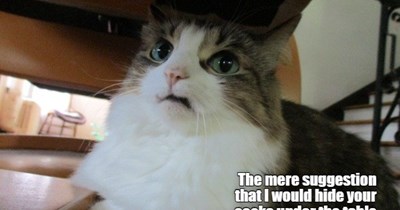 Absolutely Scandalous