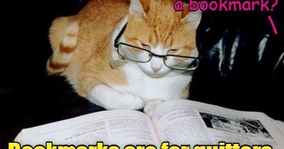 I could go for a spot of tea.