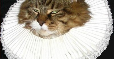 Yes, is always the answer.