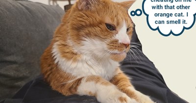 That furlorn feeling