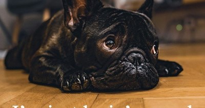 There is a difference!