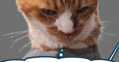 What has been scented can not be unscented