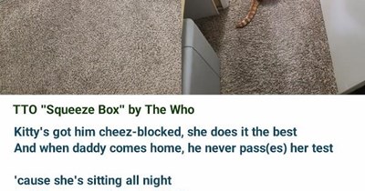TTO "Squeeze Box" by The Who