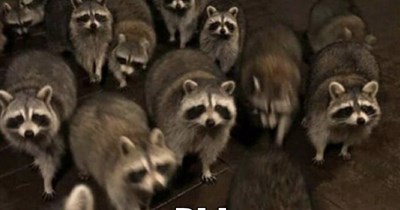 Did  someone                          say   TRASH?!