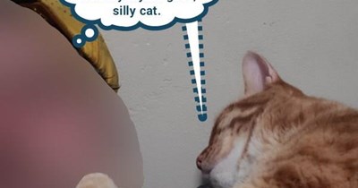 Twisted nursery rhyme