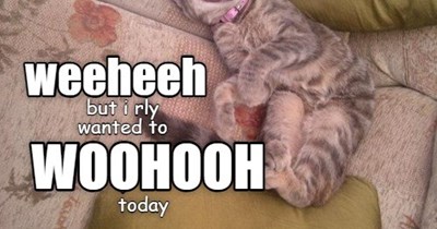 sadly, it's not to be