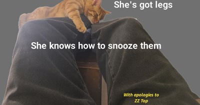 With apologies to ZZ Top