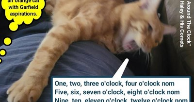 "Rock Around The Clock" by Bill Haley & His Comets