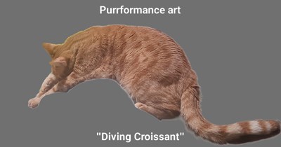 Purrformance art