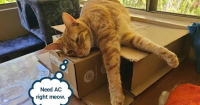 Need AC right meow