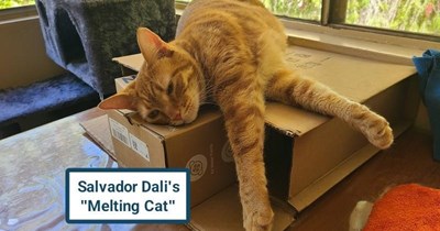 If Salvador Dali had a cat