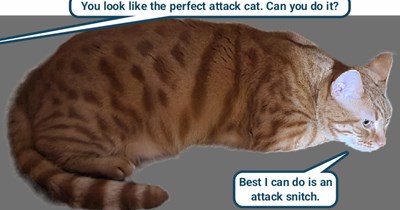 She'll file a noise complaint