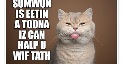 Antiques Lolcats Roadshow