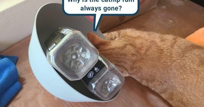 Captain Sarah Sparrow