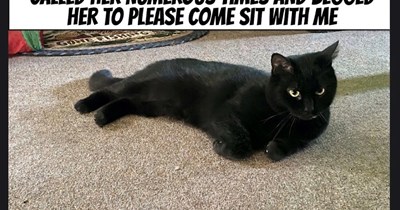 Why does she do this to me?