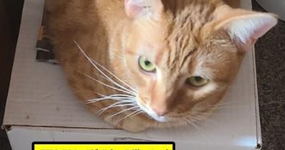 TTO "My Life" by Billy Joel