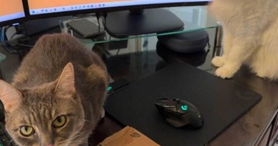 If he only thinks it...