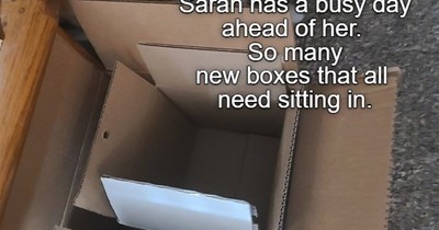 How will she get it all done?