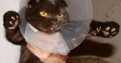 He became a baton twirler.