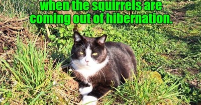 Catch them if you can