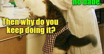 Someone wants to go hungry tonight.