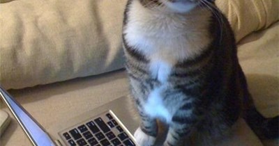 If there was only a way to tell.