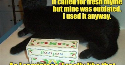 They soothed my soul.