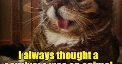 Not the brightest crayon in the box.