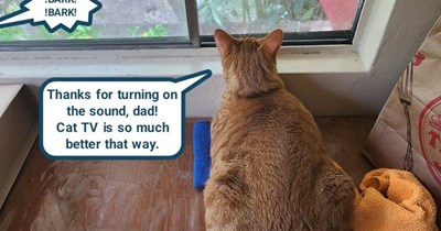 Simplest upgrades are best