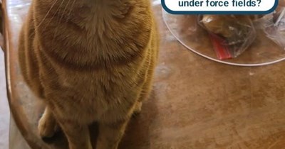 Everything belongs to me, how dare you block it