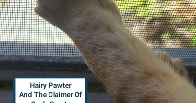 The Hairy Pawter claws