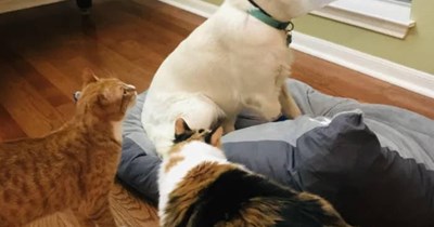 Can't even look at them.