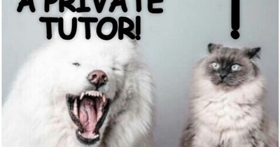 Finally, a good one!