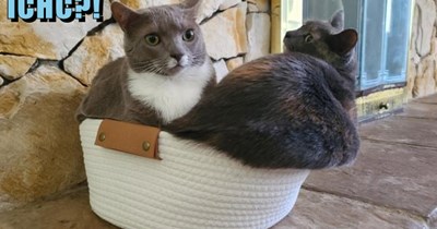 Itz nawt gonna be eezy!