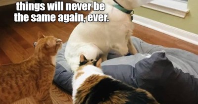 I said I don't want to talk about it