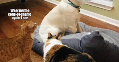 I think it's all that loud shlurping