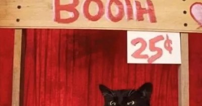 Plus FREE bonus hisses!