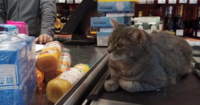 This item is not for sale