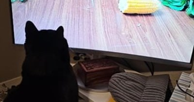 These shows always make me hungry.