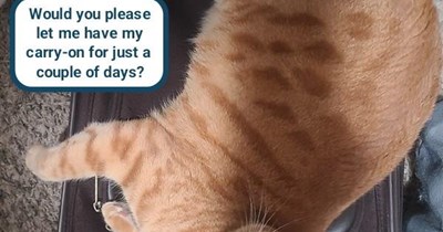 That would be a "No"